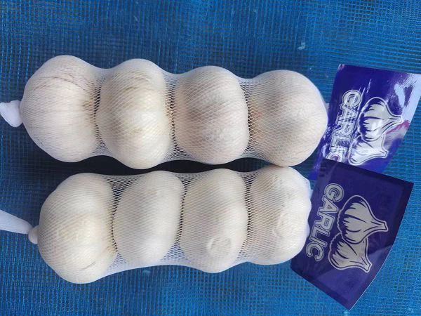 4,5 см Чеснок