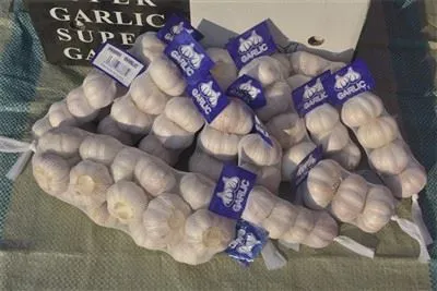 Свежий дикий чеснок