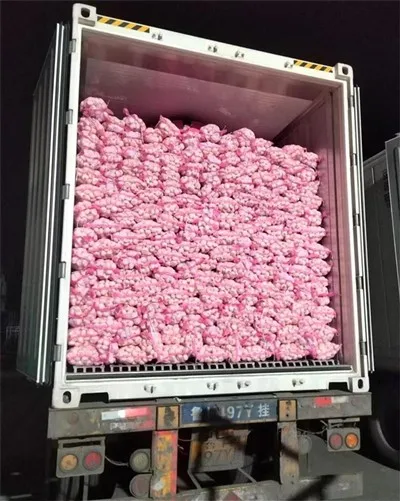 Красный сетчатый карманный белый чеснок